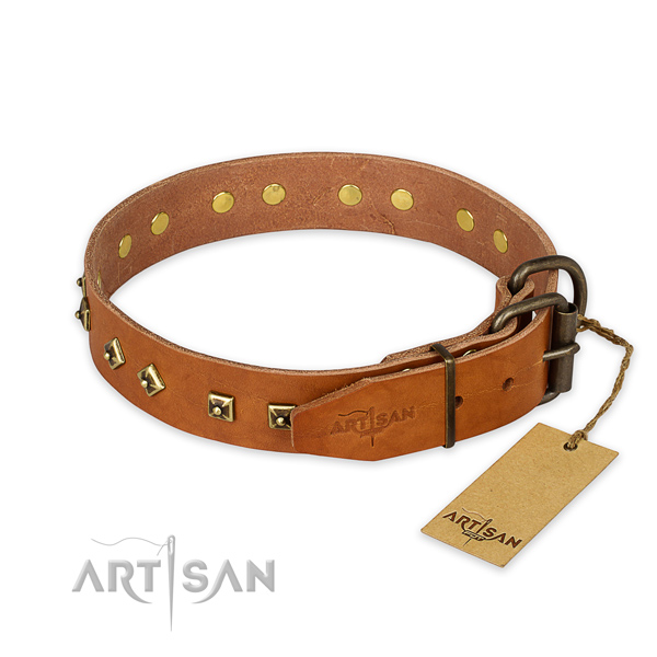 Strong fittings on natural leather collar for walking your doggie