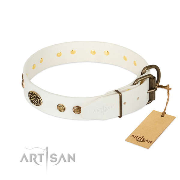 Rust-proof traditional buckle on natural leather dog collar for your canine