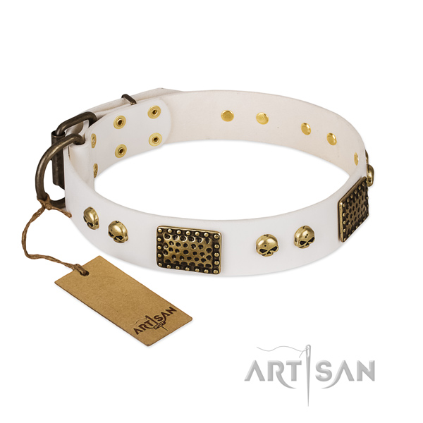 Corrosion proof decorations on walking dog collar