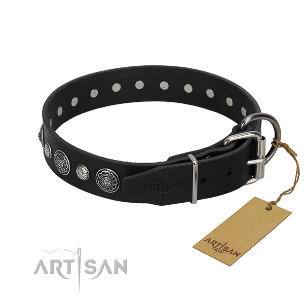 Strong full grain natural leather dog collar with incredible studs