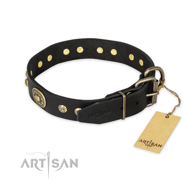 Corrosion proof buckle on genuine leather collar for stylish walking your canine