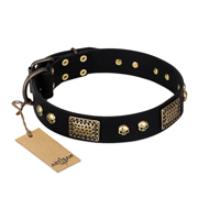 "Biker Style" FDT Artisan Black Leather American Bulldog Collar with Old Bronze Look Plates and Skulls "Biker Style" FDT Artisan Black Leather American Bulldog Collar with Old Bronze Look Plates and Skulls