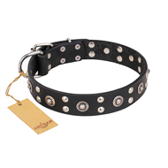 "Refined Essence" FDT Artisan Black Leather American Bulldog Collar with Silvery Studs