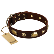 "Hebe's Jewel" FDT Artisan Brown Genuine Leather American Bulldog Collar