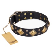 "Fancy-Schmancy" FDT Artisan Studded Leather American Bulldog Collar