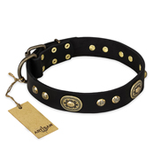 "High Fashion" FDT Artisan Studded with Plates Black Leather American Bulldog Collar