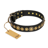 "Gold Mine" FDT Artisan Black Leather American Bulldog Collar with Amazing Bronze-Plated Round Studs
