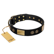 "Chicci-Glam" FDT Artisan Black Leather American Bulldog Collar with Plates and Ornate Studs