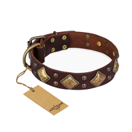 "Golden Square" FDT Artisan Brown Leather American Bulldog Collar with Large Squares