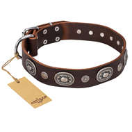 "Extra Pizzazz" FDT Artisan Adorned Brown Leather American Bulldog Collar