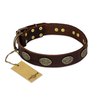 "Chocolate kiss" FDT Artisan Leather American Bulldog Collar with Old Bronze Look Oval Plates