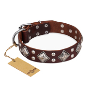 "King of Grace" FDT Artisan Stylish Leather American Bulldog Collar with Old Silver-Like Plated Decorations