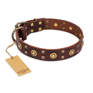 "Caprice of Fashion" FDT Artisan Brown Leather American Bulldog Collar with Round Decorations