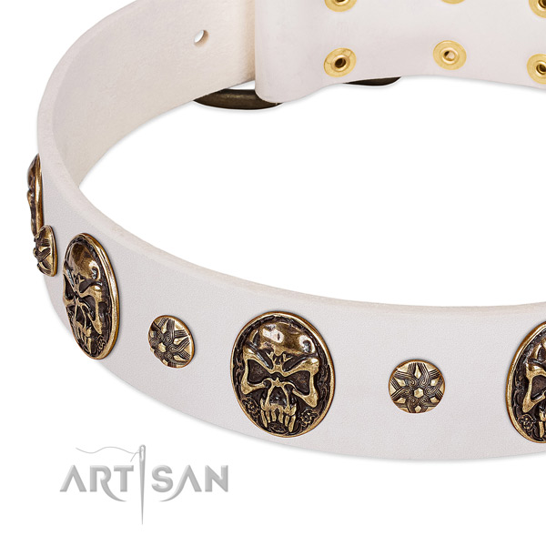 Corrosion resistant studs on leather dog collar for your canine