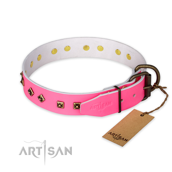 Rust resistant buckle on genuine leather collar for everyday walking your doggie