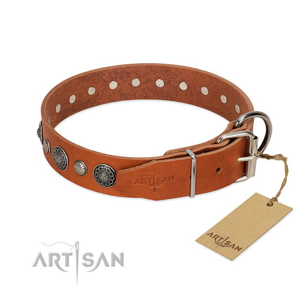 Reliable leather dog collar with rust-proof fittings