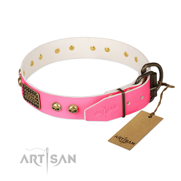 Durable fittings on easy wearing dog collar