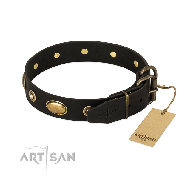 Reliable buckle on full grain leather dog collar for your canine