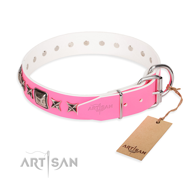 Top notch decorated dog collar of genuine leather