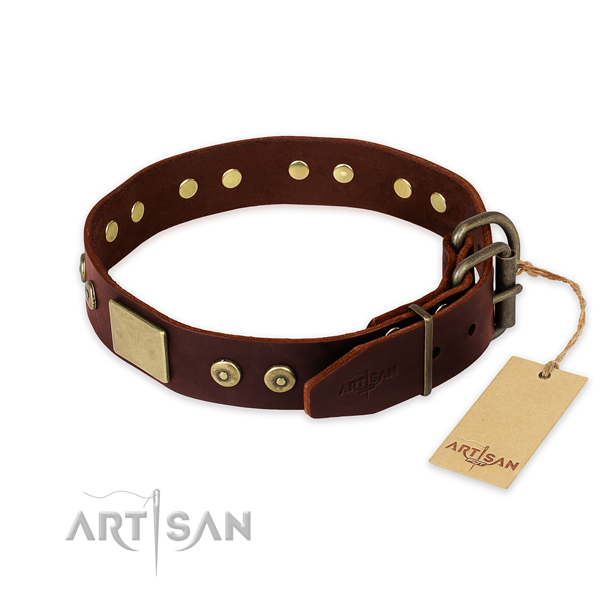 Durable D-ring on handy use dog collar