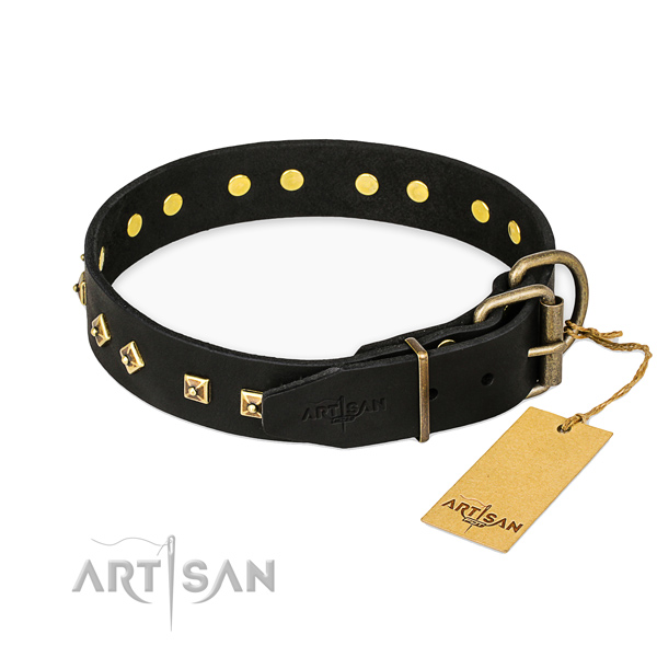 Strong traditional buckle on leather collar for walking your four-legged friend