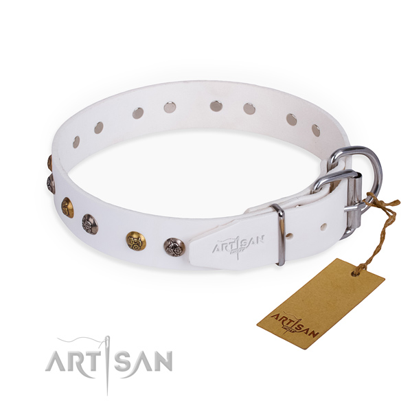 Full grain genuine leather dog collar with inimitable rust resistant adornments