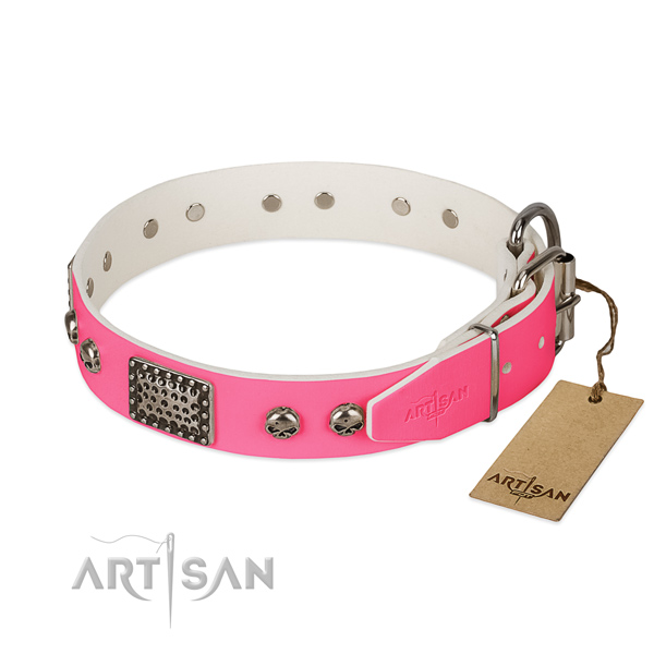 Durable traditional buckle on comfortable wearing dog collar