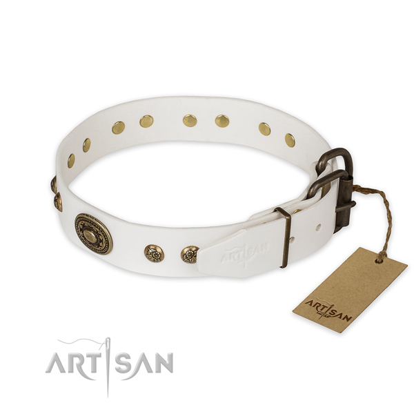 Reliable hardware on genuine leather collar for walking your canine