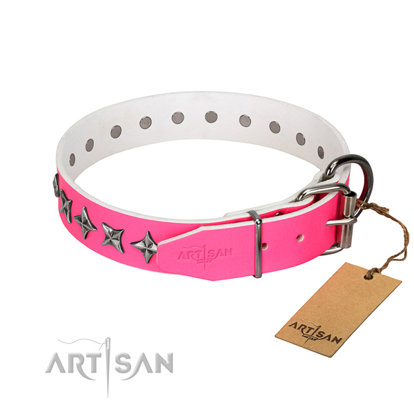 Top quality full grain leather dog collar with extraordinary studs