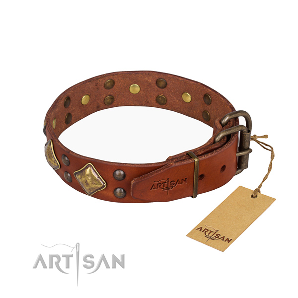 Genuine leather dog collar with unusual reliable studs