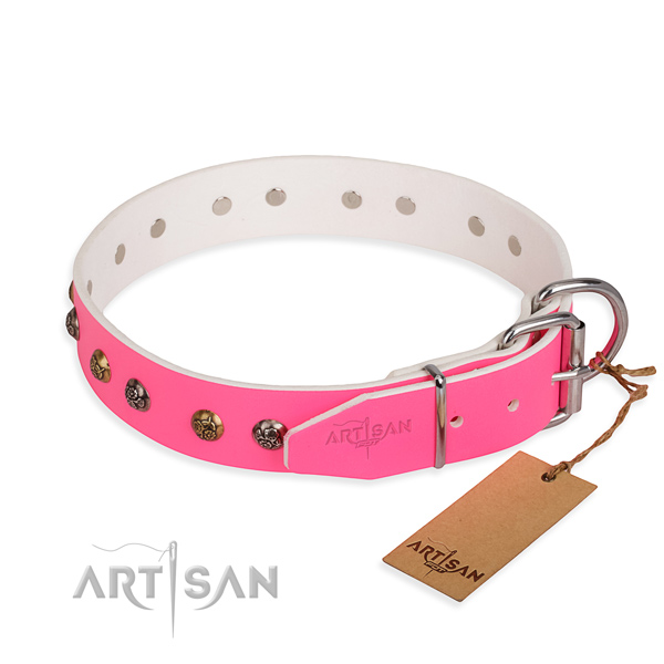 Natural leather dog collar with inimitable rust resistant studs