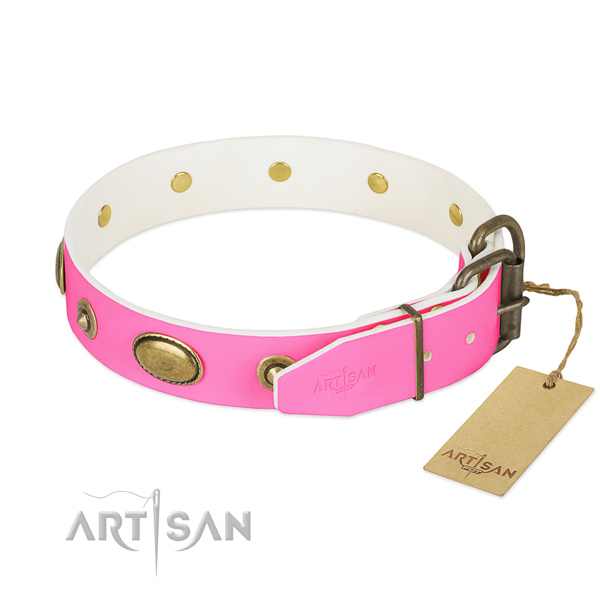 Durable embellishments on leather dog collar for your dog