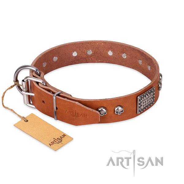 Corrosion proof D-ring on comfortable wearing dog collar