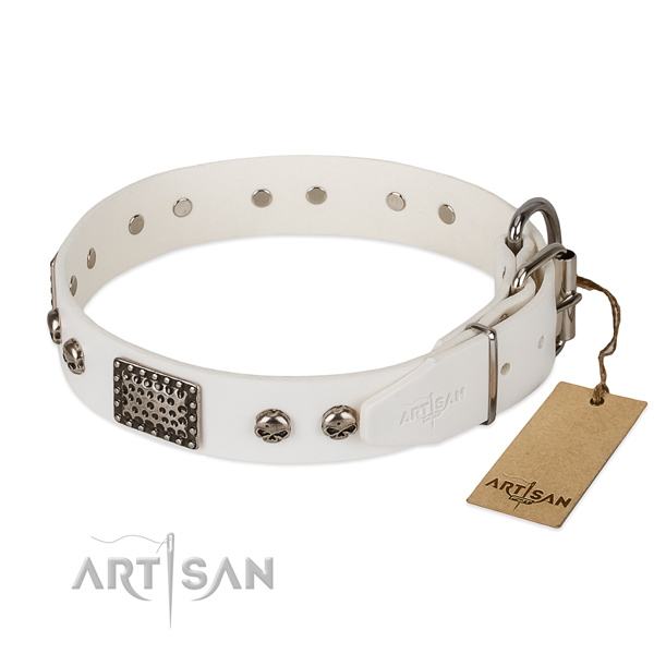 Rust resistant D-ring on comfortable wearing dog collar