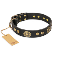 "Golden Radiance" FDT Artisan Black Leather American Bulldog Collar with Old Bronze Look Ovals and Circles