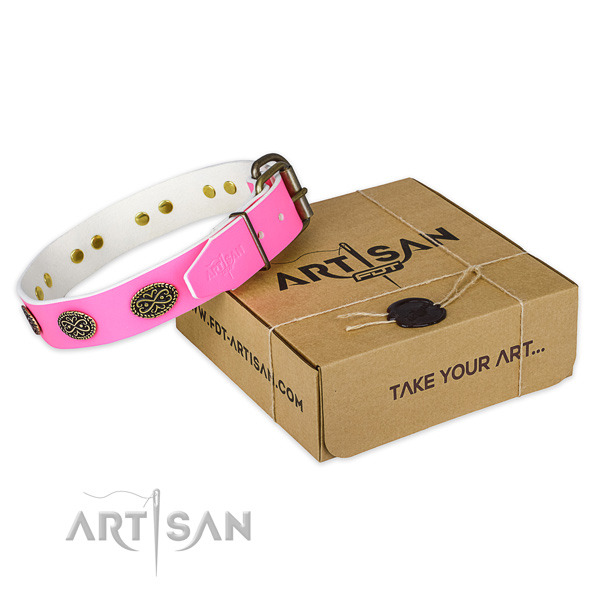 Strong fittings on dog collar for daily use