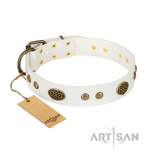 Strong traditional buckle on leather dog collar for your pet