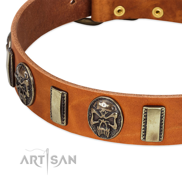 Rust resistant adornments on full grain genuine leather dog collar for your doggie