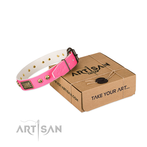Rust-proof studs on dog collar for comfy wearing