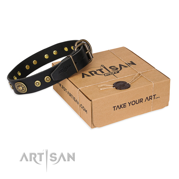 Leather dog collar made of soft material with durable hardware