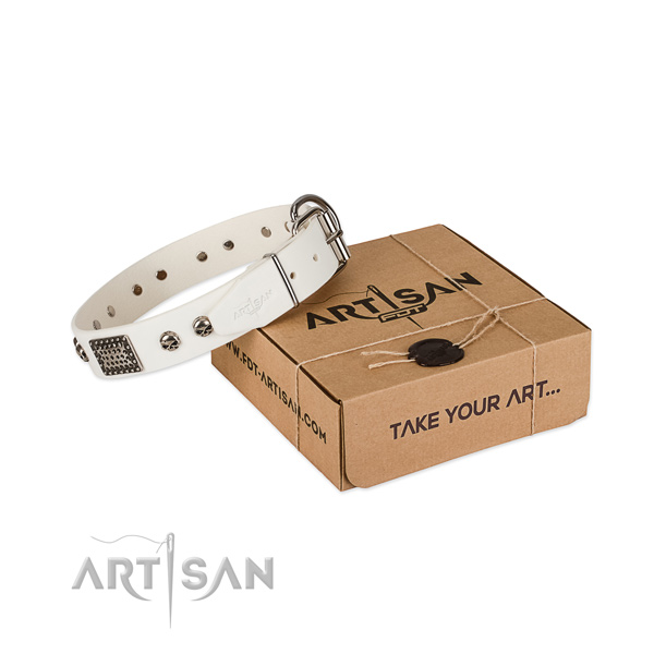 Corrosion resistant decorations on dog collar for comfy wearing