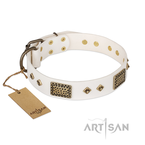 Fashionable full grain genuine leather dog collar for daily walking