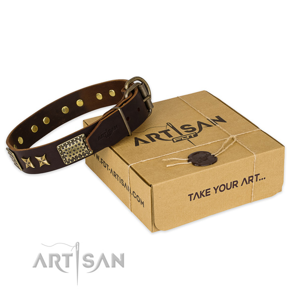 Strong traditional buckle on full grain leather collar for your impressive pet