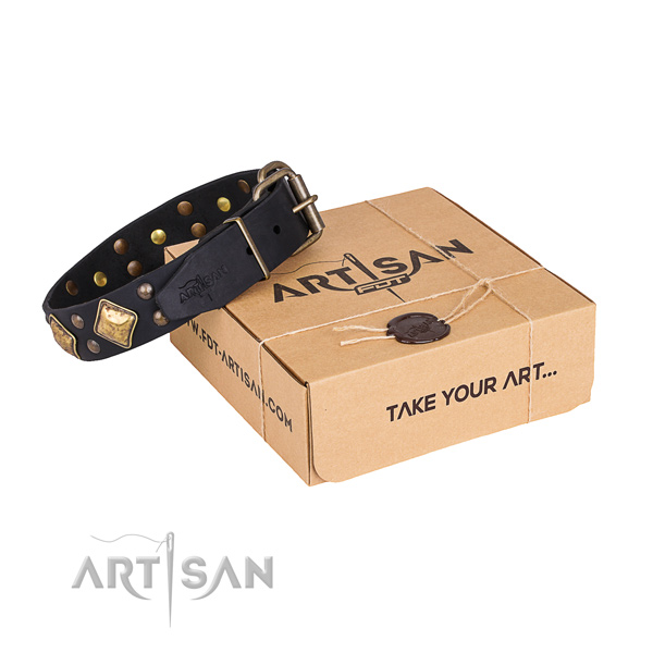 Everyday use dog collar with Awesome durable adornments