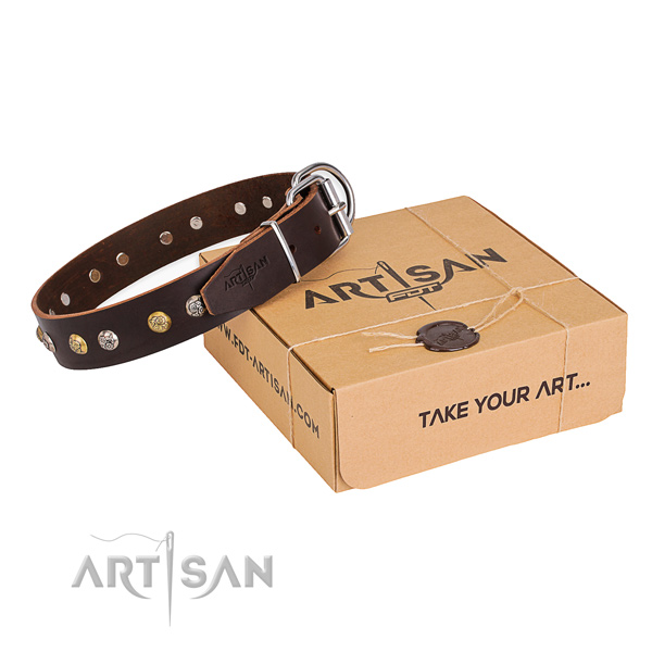 Top rate natural genuine leather dog collar handcrafted for daily walking