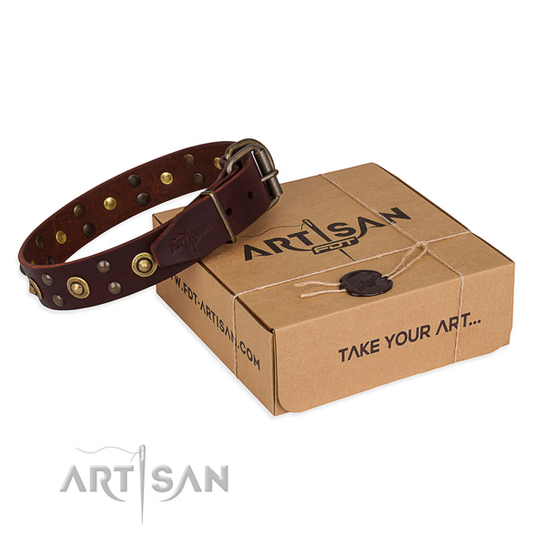 Rust-proof hardware on full grain leather collar for your beautiful dog