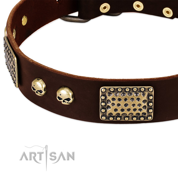 Durable traditional buckle on leather dog collar for your canine