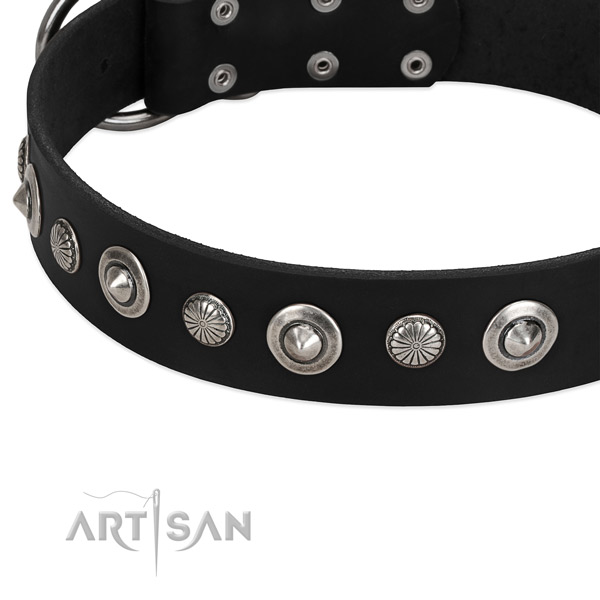 Exceptional adorned dog collar of reliable genuine leather