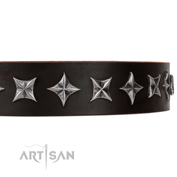 Daily walking embellished dog collar of finest quality full grain leather