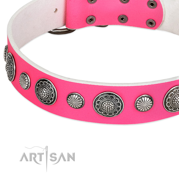 Genuine leather collar with reliable hardware for your attractive four-legged friend